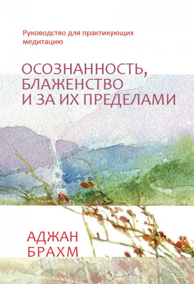 Постер книги Осознанность, блаженство и за их пределами. Руководство для практикующих медитацию