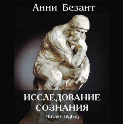 Постер книги Исследование сознания