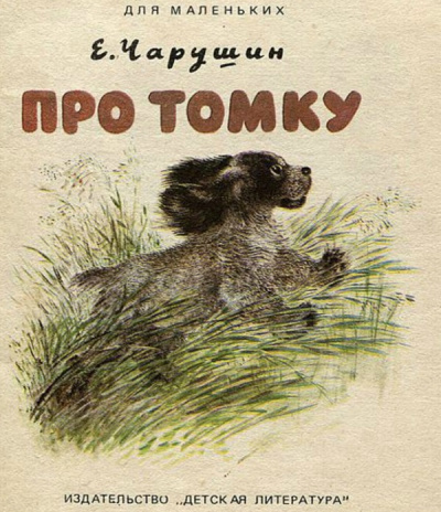 Постер книги Про Томку