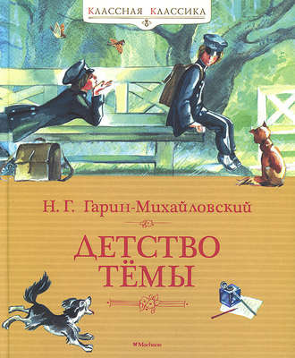 Постер книги Детство Тёмы