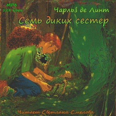 Постер книги Семь диких сестер