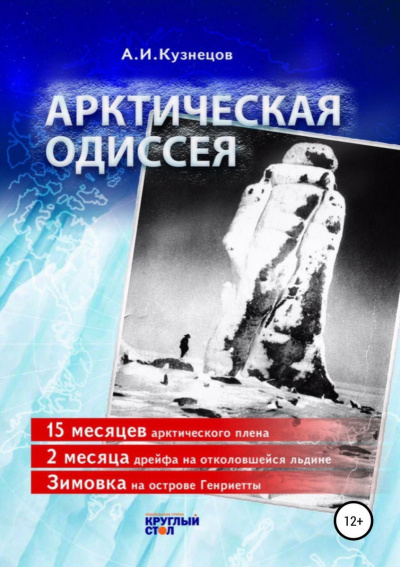 Постер книги Арктическая Одиссея