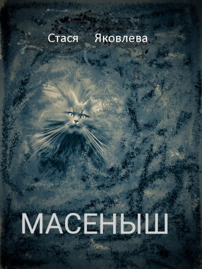 Постер книги Масёныш