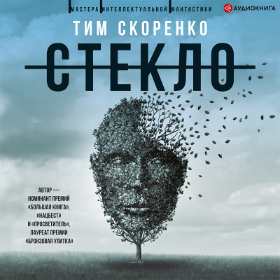 Постер книги Стекло