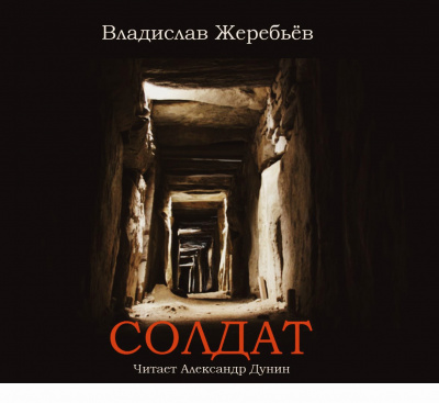 Постер книги Солдат