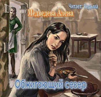 Постер книги Обжигающий север