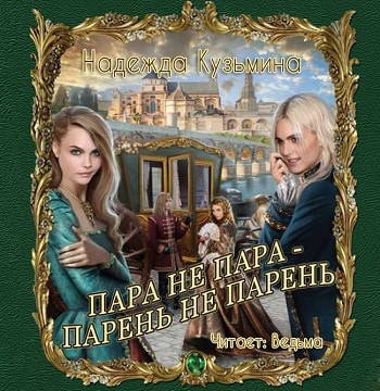 Постер книги Пара не пара - парень не парень