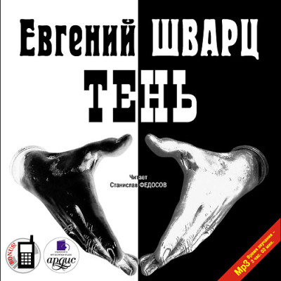 Постер книги Тень