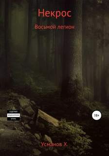 Постер книги Восьмой легион (Некрос аудиокнига вторая)