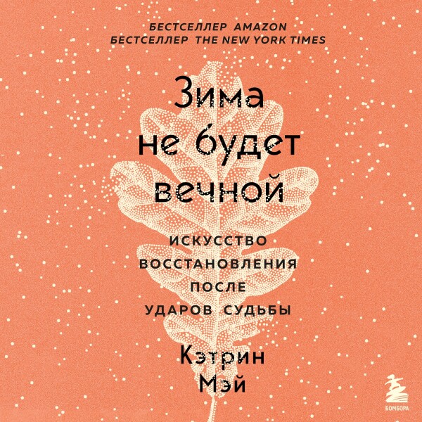 Постер книги Зима не будет вечной. Искусство восстановления после ударов судьбы