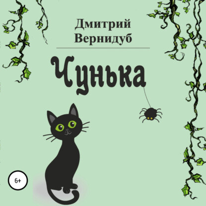 Постер книги Чунька