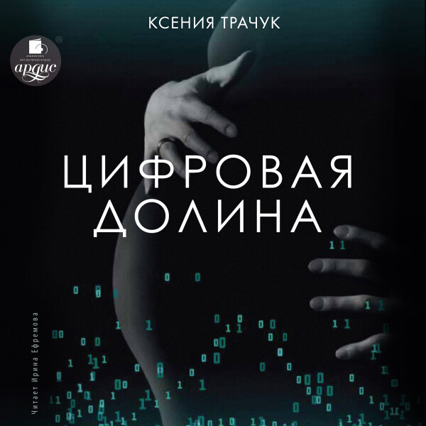 Постер книги Цифровая долина