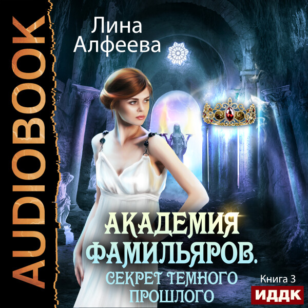 Постер книги Секрет темного прошлого