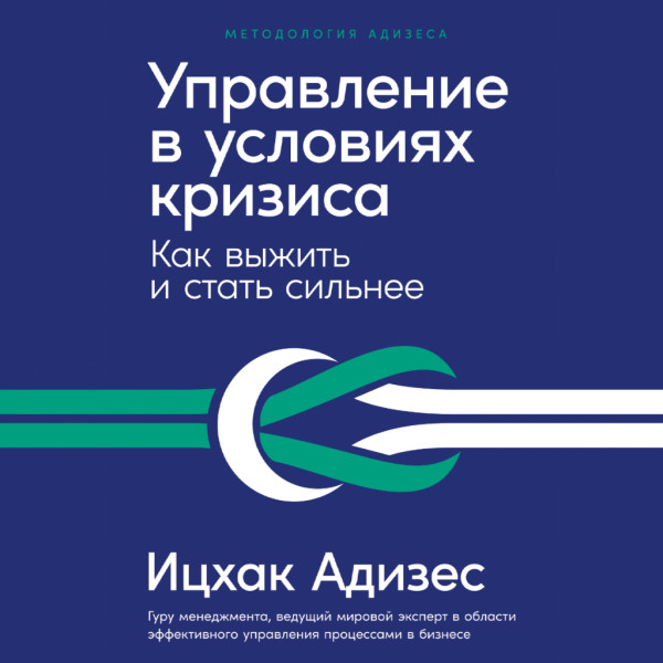 Постер книги Управление в условиях кризиса: Как выжить и стать сильнее