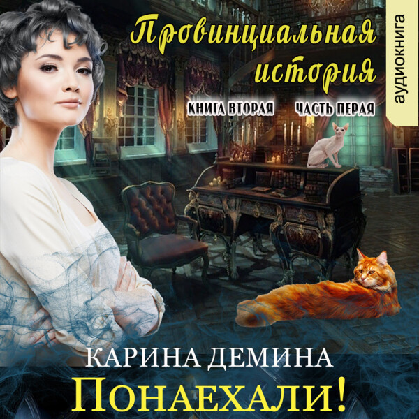 Постер книги Провинциальная история. Понаехали! (книга 2, часть 1)