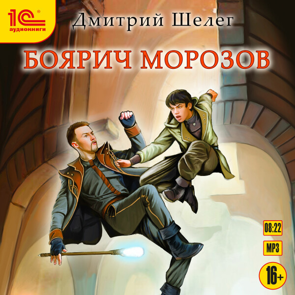 Постер книги Боярич Морозов