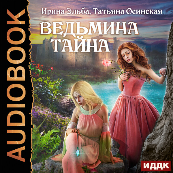 Постер книги Ведьмина тайна