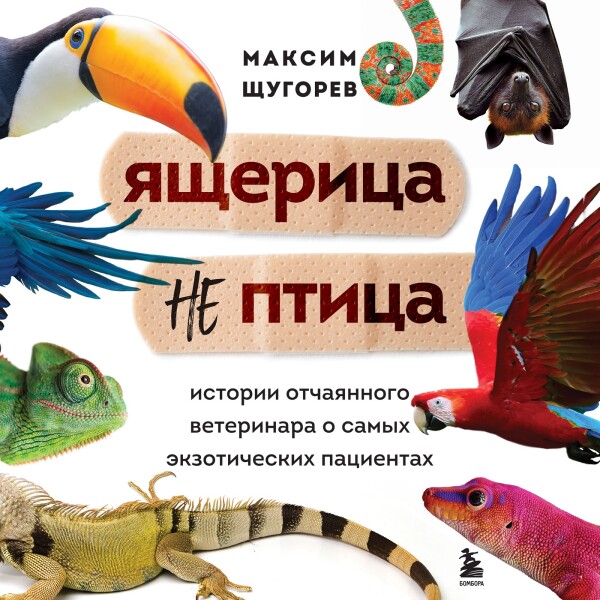 Постер книги Ящерица не птица. Истории отчаянного ветеринара о самых экзотических пациентах