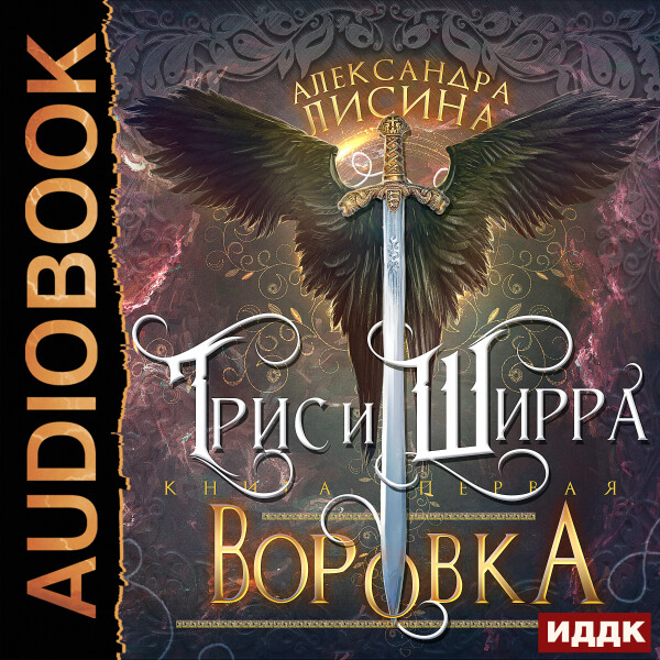 Постер книги Воровка