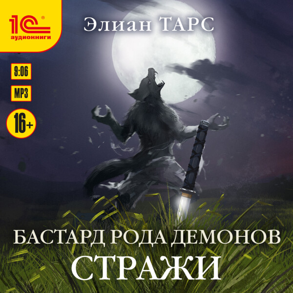 Постер книги Стражи