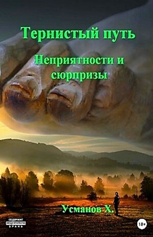 Постер книги Неприятности и сюрпризы. Тернистый путь Книга 06