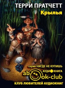 Постер книги Крылья