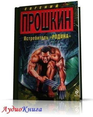 Постер книги Истребитель Родина