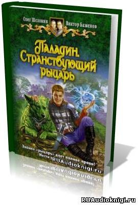 Постер книги Паладин. Странствующий рыцарь