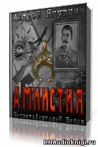 Постер книги Амнистия