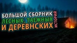 Постер книги Большой сборник таежных и деревенских историй