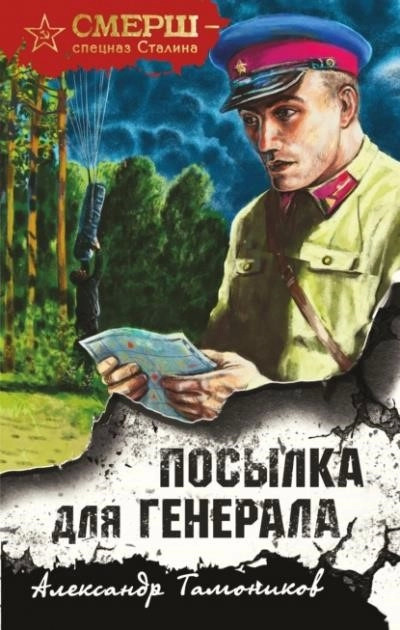 Постер книги Посылка для генерала