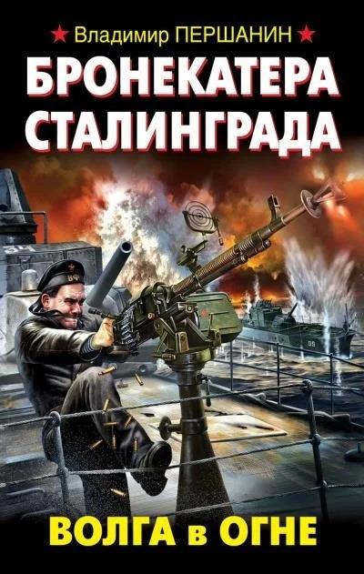 Постер книги Бронекатера Сталинграда. Волга в огне