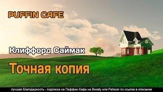 Постер книги Точная копия