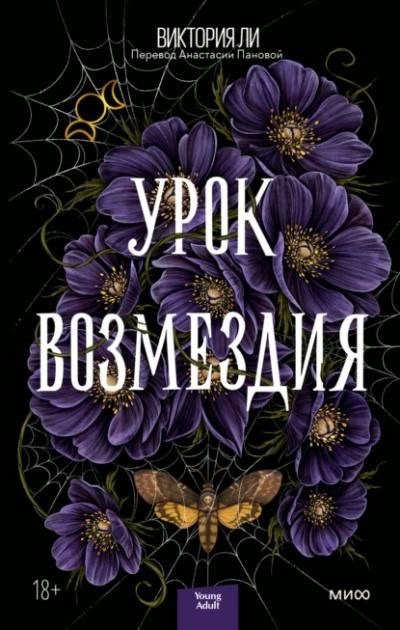 Постер книги Урок возмездия