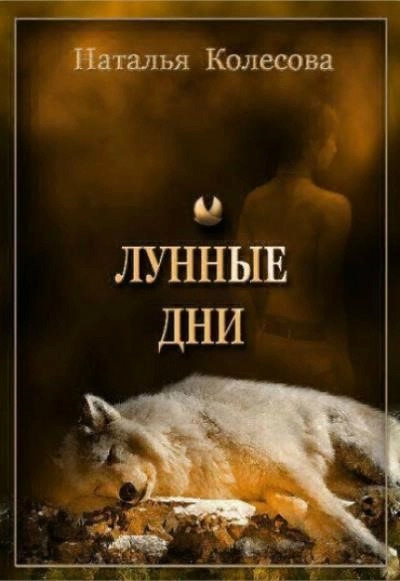 Постер книги Лунные Дни