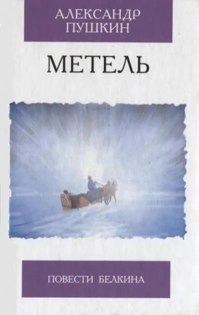 Постер книги Метель