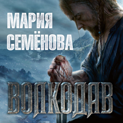 Постер книги Волкодав