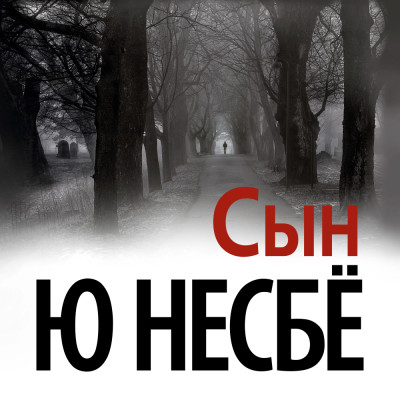 Постер книги Сын