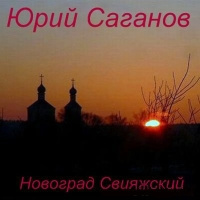 Постер книги Новоград Свияжский