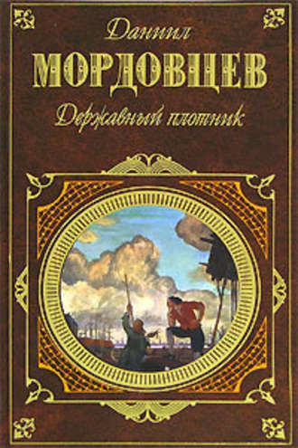 Постер книги Державный плотник