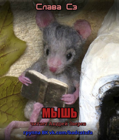 Постер книги Мышь