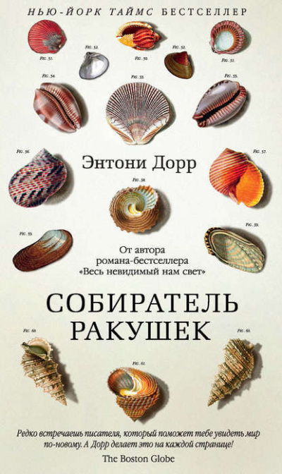 Постер книги Собиратель ракушек