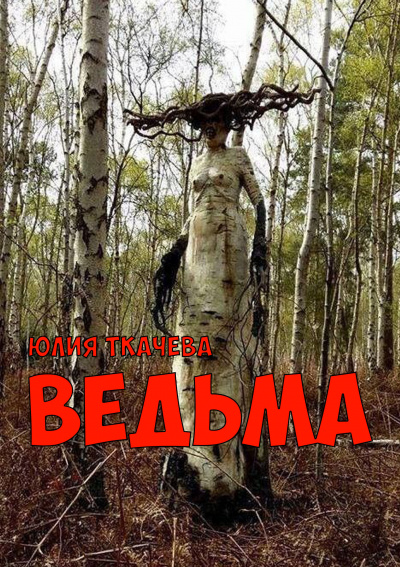 Постер книги Ведьма