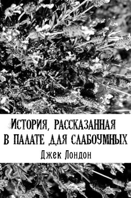 Постер книги История, рассказанная в палате для слабоумных