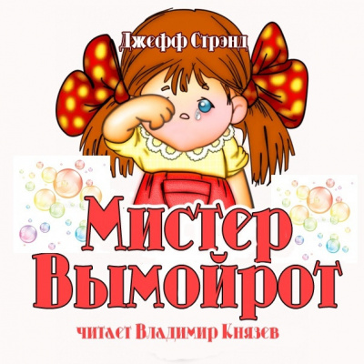 Постер книги Мистер Вымойрот