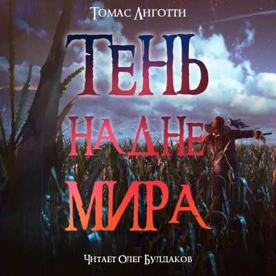 Постер книги Тень на дне мира