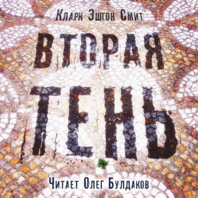 Постер книги Вторая тень