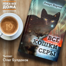 Постер книги Все кошки серы