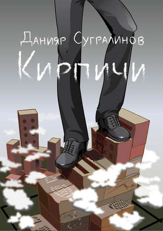 Постер книги Кирпичи 1.0