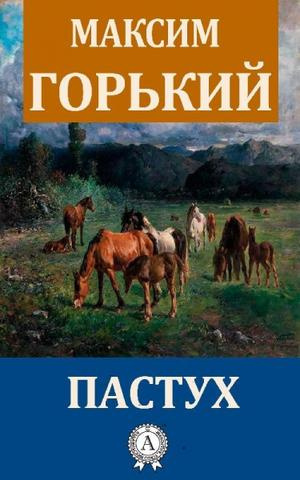 Постер книги Пастух